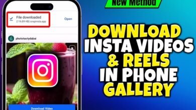 youtube video download snapinsta