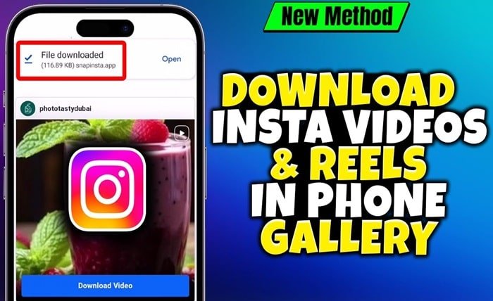 youtube video download snapinsta